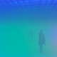 Illustration for article titled Alternative Fog Reality Confuses and Puzzles
